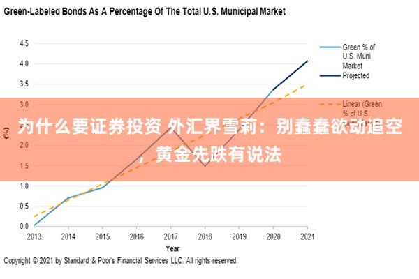 为什么要证券投资 外汇界雪莉：别蠢蠢欲动追空，黄金先跌有说法