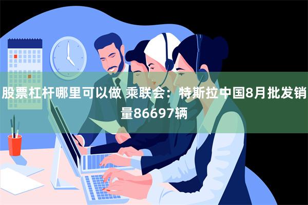 股票杠杆哪里可以做 乘联会：特斯拉中国8月批发销量86697辆