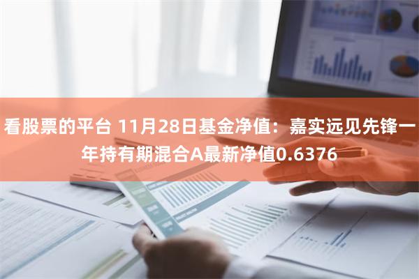 看股票的平台 11月28日基金净值：嘉实远见先锋一年持有期混合A最新净值0.6376