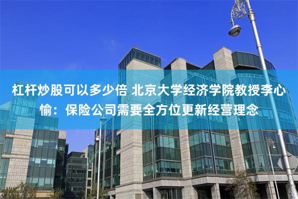 杠杆炒股可以多少倍 北京大学经济学院教授李心愉：保险公司需要全方位更新经营理念