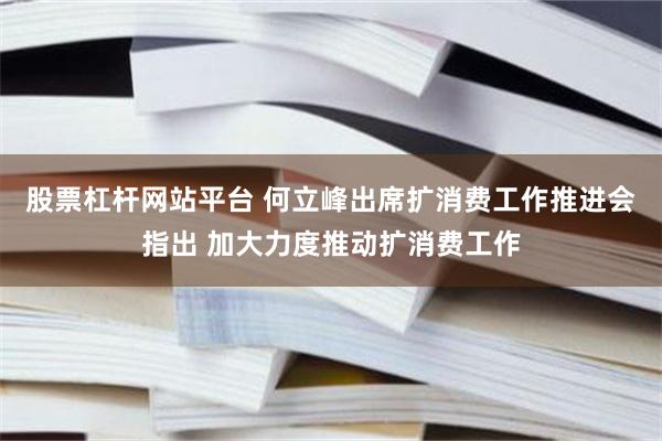 股票杠杆网站平台 何立峰出席扩消费工作推进会指出 加大力度推动扩消费工作