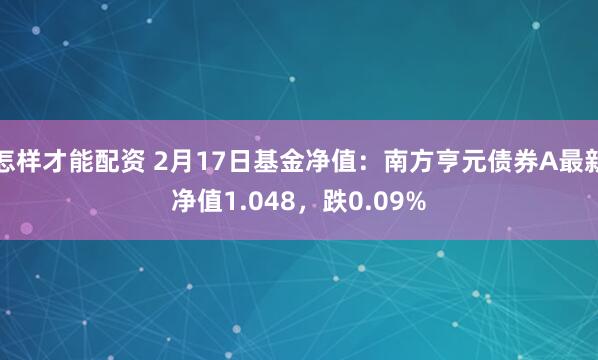 怎样才能配资 2月17日基金净值：南方亨元债券A最新净值1.048，跌0.09%