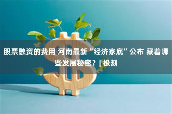 股票融资的费用 河南最新“经济家底”公布 藏着哪些发展秘密？| 极刻